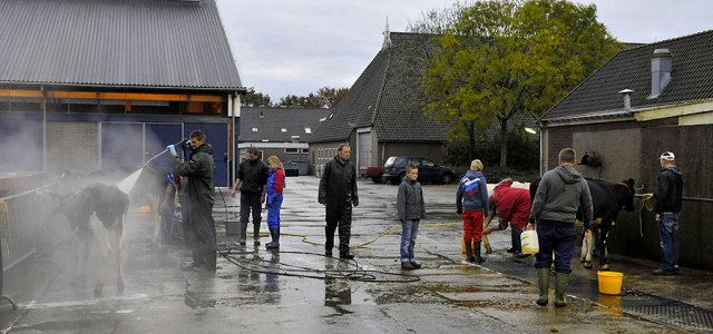 Veekeuring Fryslan 3